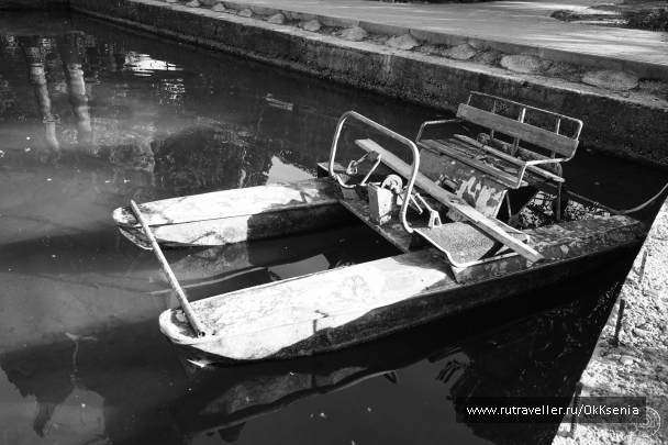 photo 1385377