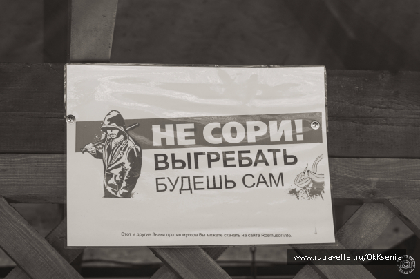 photo 1385390