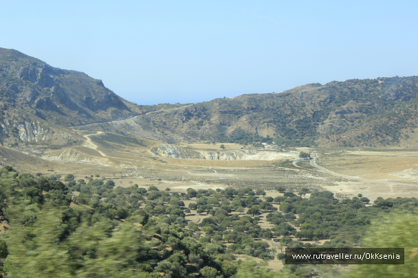 photo 1385730