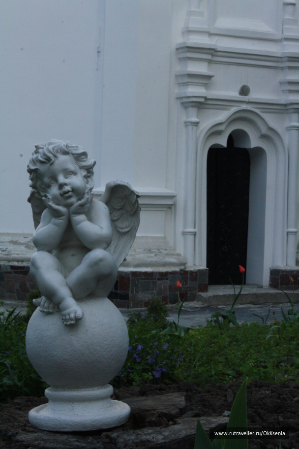 photo 1386271
