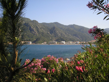 photo 239682