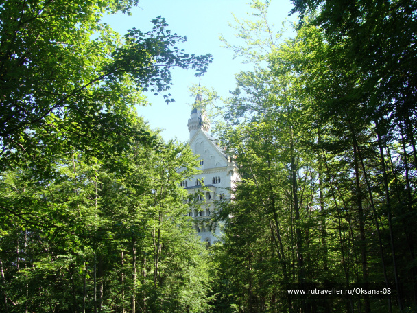 photo 464951