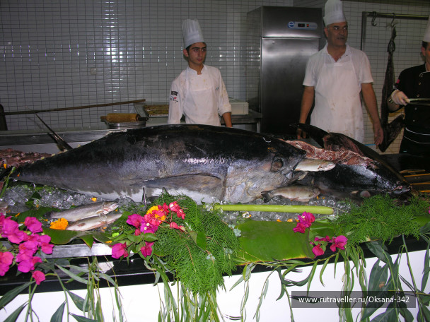 photo 469687