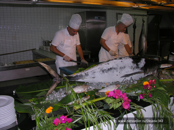 photo 469689