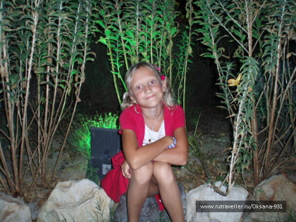 photo 508773