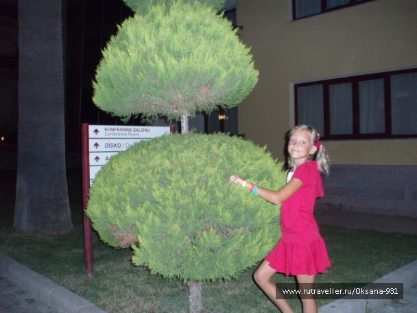 photo 508781