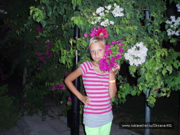photo 508791
