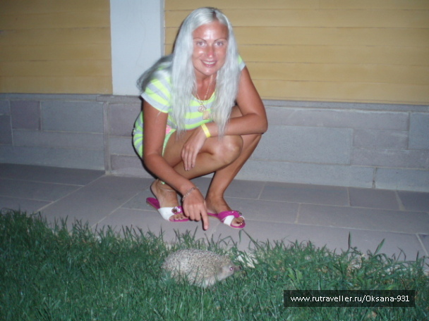 photo 508794