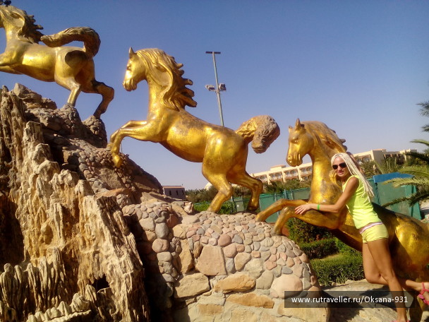 photo 1034078