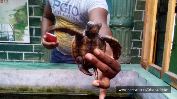 photo 1457135