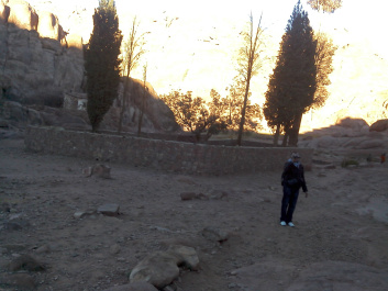 photo 222770
