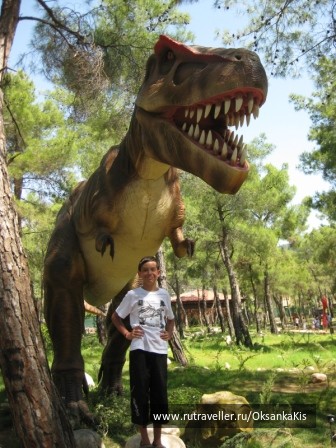 photo 121212