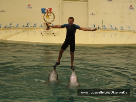photo 121227