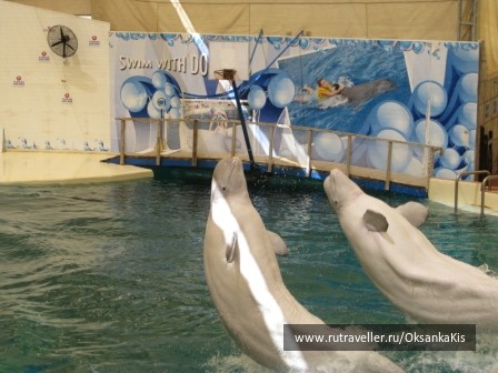 photo 121229