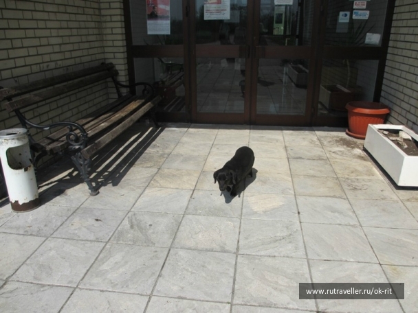 photo 760487