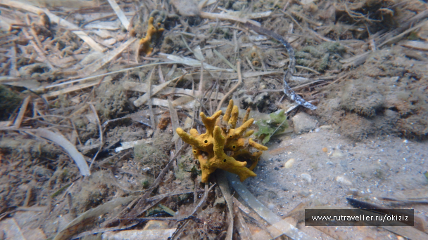 photo 1249781