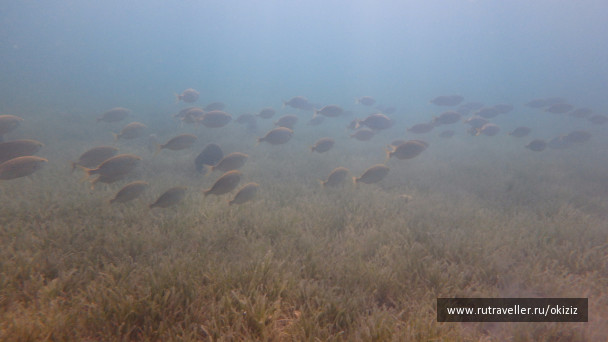 photo 1249785
