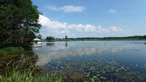 photo 1250370