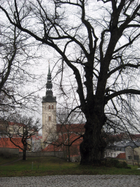 photo 1252944