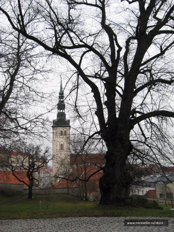 photo 1252944