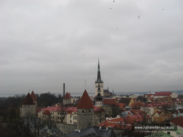 photo 1252946