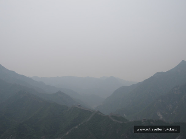 photo 1325791