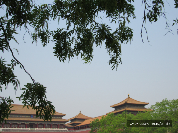 photo 1325813