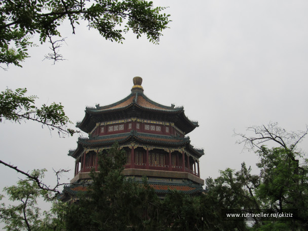 photo 1325822