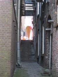 photo 1331846