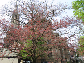 photo 1331875