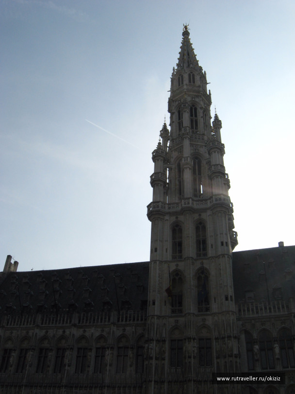 photo 1331843