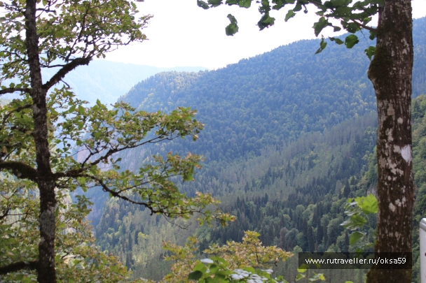 photo 1125616