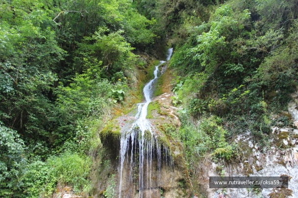 photo 1125617