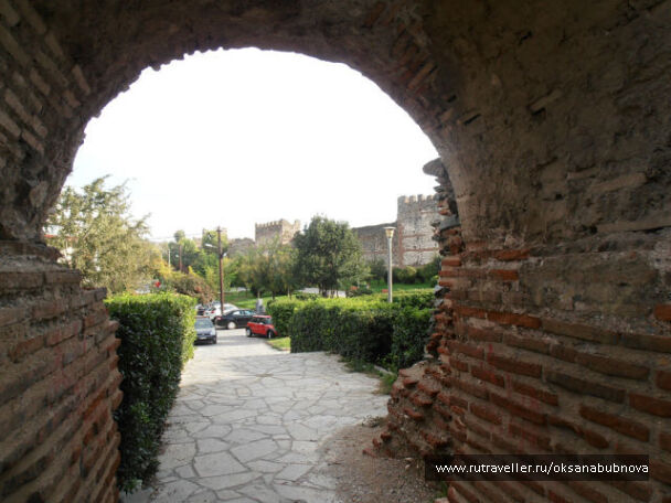 photo 237862