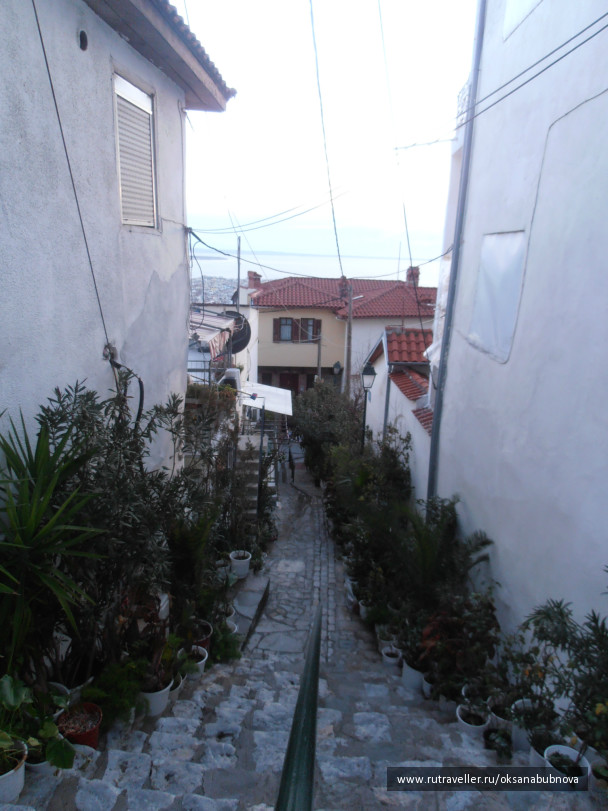 photo 237870