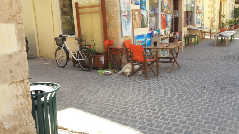 photo 443224