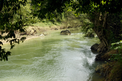 photo 443297