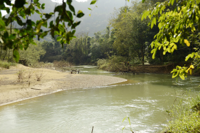 photo 443298