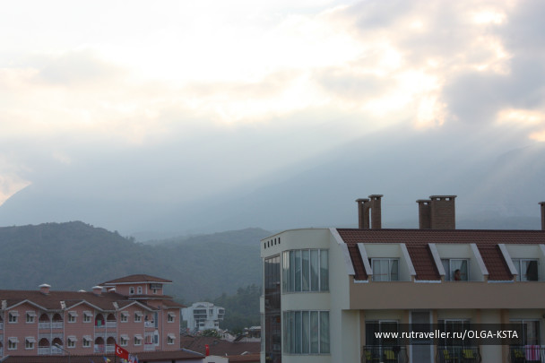 photo 81734