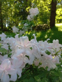 photo 2152050