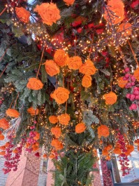photo 2152489