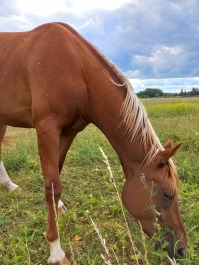 photo 2152657