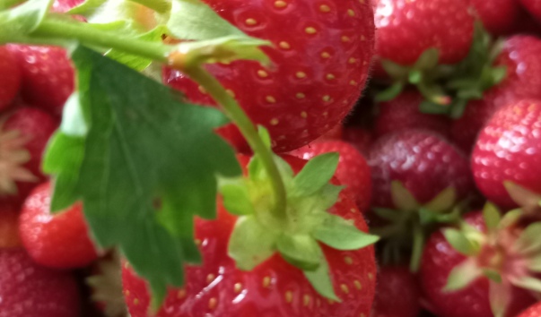 20220705_130206.jpg