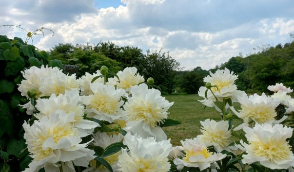 20220628_135939.jpg