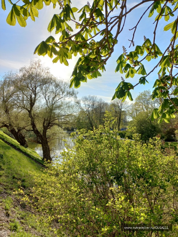 photo 2153167