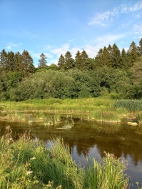 photo 2153184