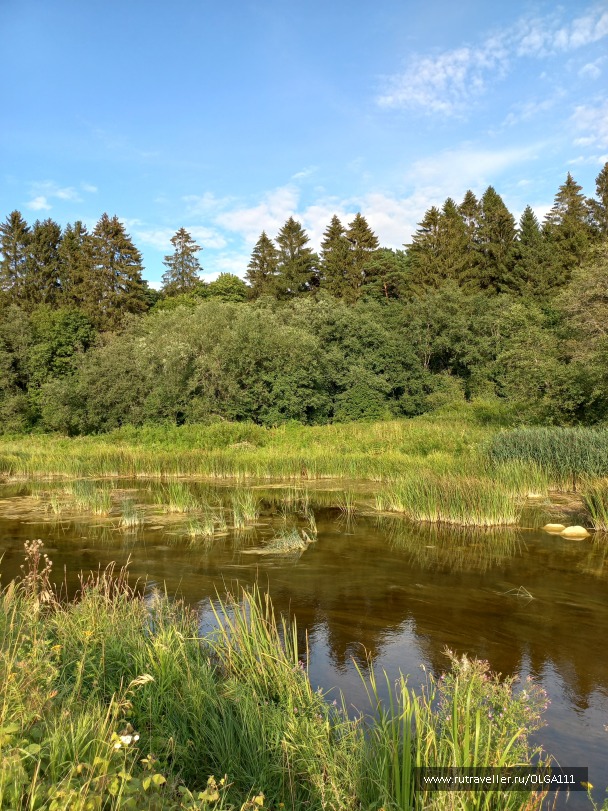 photo 2153184