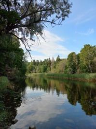 photo 2153185