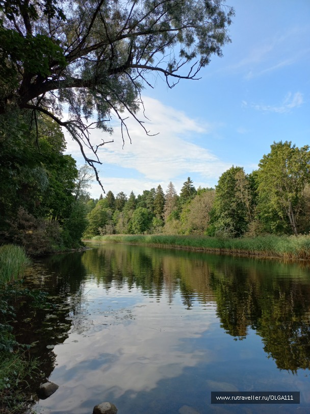 photo 2153185