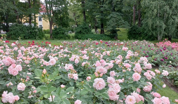 20220718_173909.jpg